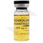 Trenbolone Enanthate Euro US Euro Pharmacies 2