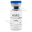 HMG 75IU Euro US Euro Pharmacies 2